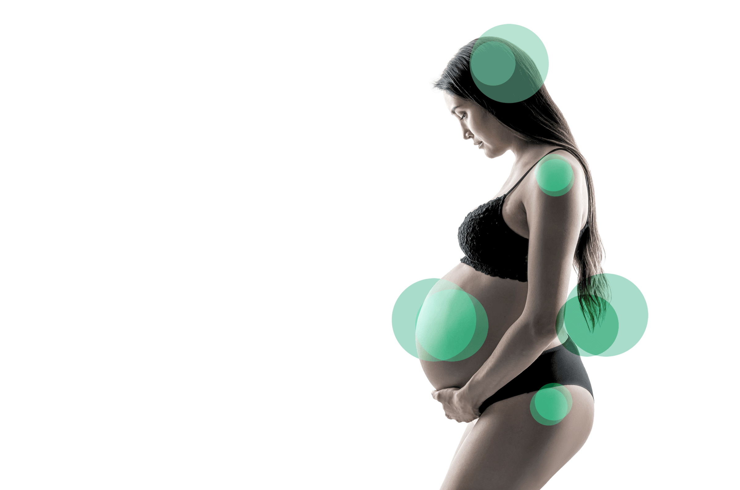 Women's Health Elegant Branch Illustration